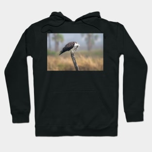 Osprey Scratching the Itch Hoodie